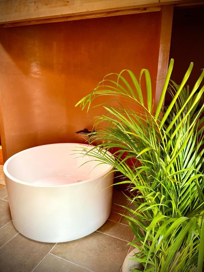 Louisa Bed & Breakfast